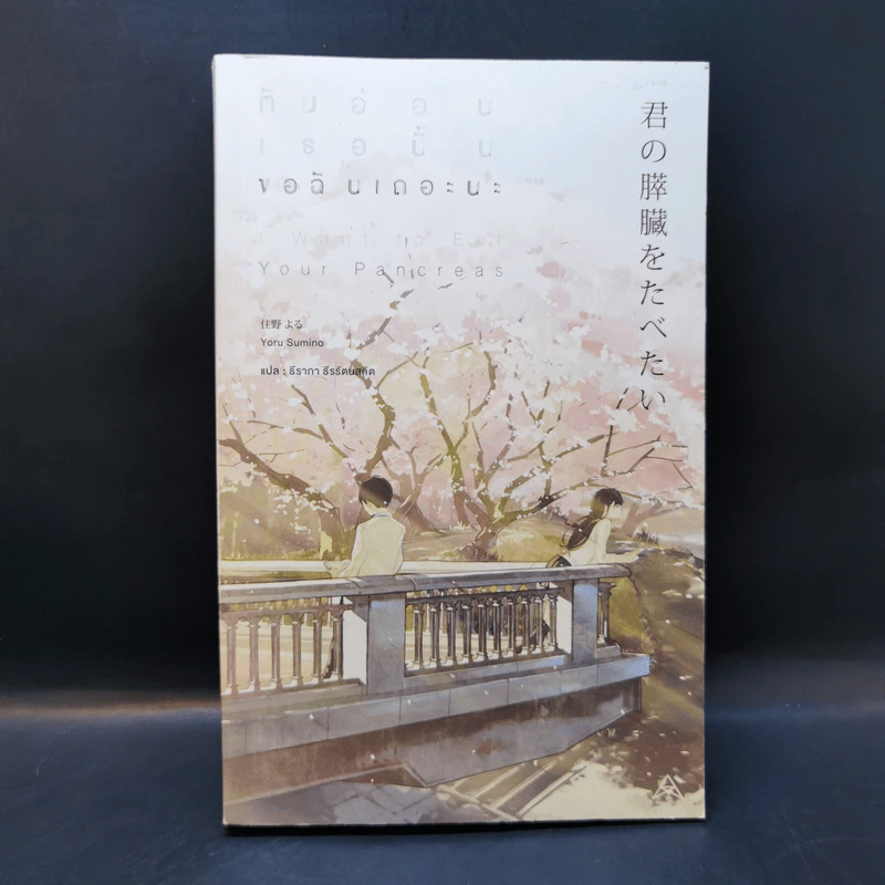 ตับอ่อนเธอนั้นขอฉันเถอะนะ : I Want to Eat Your Pancreas - Yoru Sumino (โยรุ ซูมิโนะ) รูปที่ 1