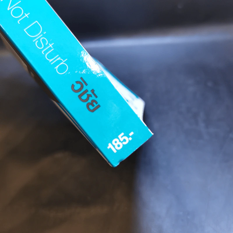 กรุณาอย่ารบกวน Do Not Disturb - วิชัย รูปที่ 13