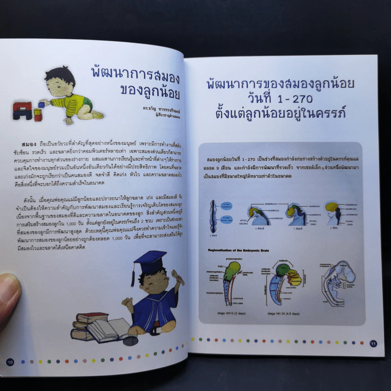 สร้างลูกสมองไวใน 1,000 วัน รูปที่ 11