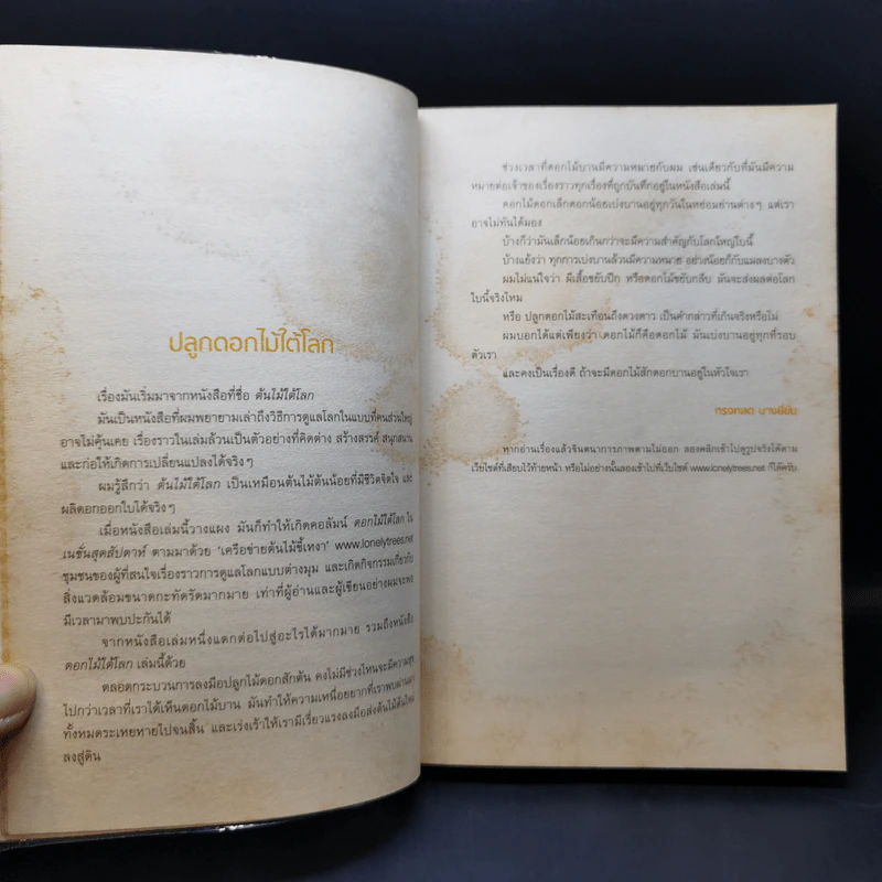 ดอกไม้ใต้โลก - ทรงกลด บางยี่ขัน รูปที่ 10