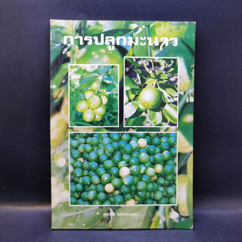 การปลูกมะนาว - ศุภกิจ แก้วถนอม รูปที่ 1