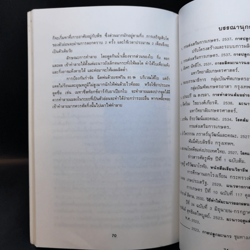การปลูกมะนาว - ศุภกิจ แก้วถนอม รูปที่ 11