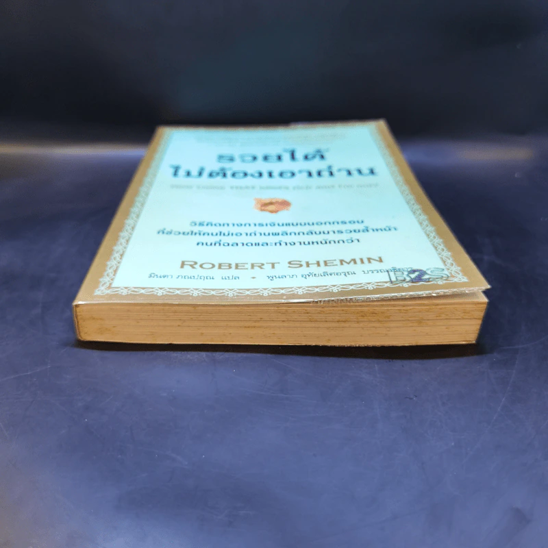 รวยได้ไม่ต้องเอาถ่าน - Robert Shemin รูปที่ 4