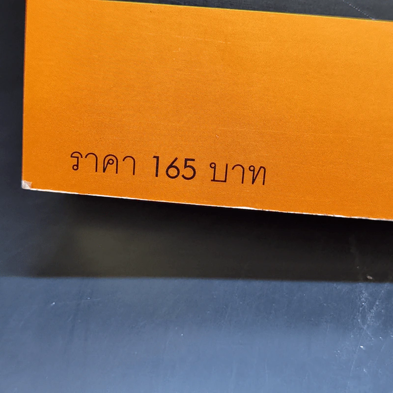 ปั้นคนให้เก่งคน - ดร.จินเจอร์ ลาพิด บ็อคดา รูปที่ 13