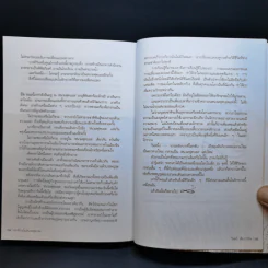 ปลาที่ว่ายน้ำในสนามฟุตบอล - วินทร์ เลียววาริณ รูปที่ 13