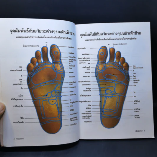 การนวดเท้าเพื่อสุขภาพและรักษาโรค รูปที่ 9