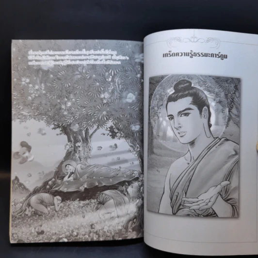 พุทธประวัติ ฉบับการ์ตูน รูปที่ 13