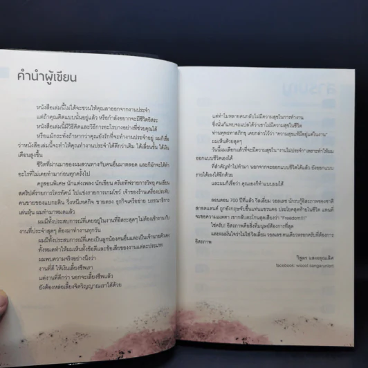 งานไม่ประจำทำเงินกว่า - วิสูตร แวงอรุณเลิศ รูปที่ 9