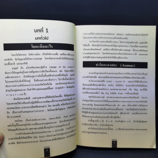 โยคะชำระโรค - พีระ บุญจริง รูปที่ 11