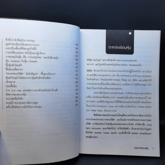 ตะแกรงร่อนหุ้น - วิบูลย์ พึงประเสริฐ รูปที่ 12