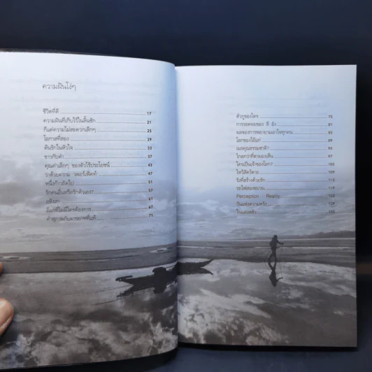 ความฝันโง่ๆ หนังสือเสริมกำลังใจ ชุด 2 - วินทร์ เลียววาริณ รูปที่ 11