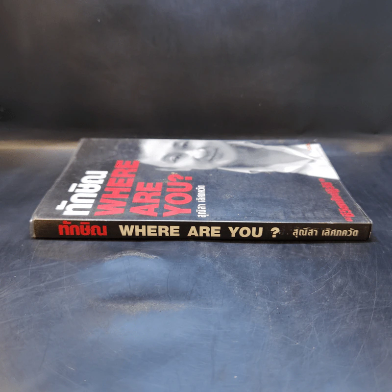 ทักษิณ Where Are You ชีวิตหลังปฎิวัติ - สุณิสา เลิศภควัต รูปที่ 3