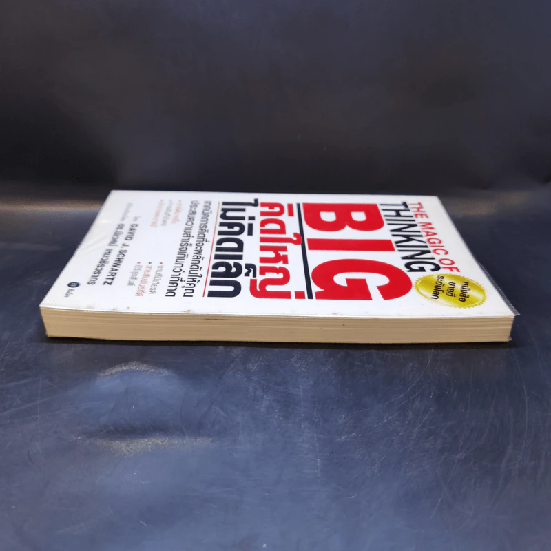 The Magic of Thinking BIG คิดใหญ่ไม่คิดเล็ก รูปที่ 5