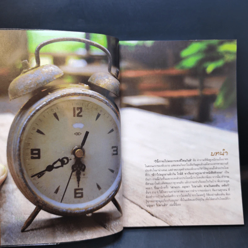 อยุธยาไปมาแล้ว - รักคนอ่าน รูปที่ 11