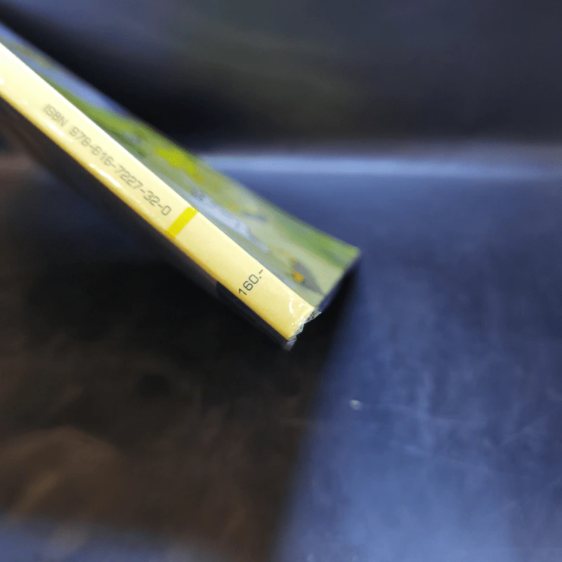 กลยุทธ์หุ้นห่านทองคำ - เทพ รุ่งธนาภิรมย์ รูปที่ 14