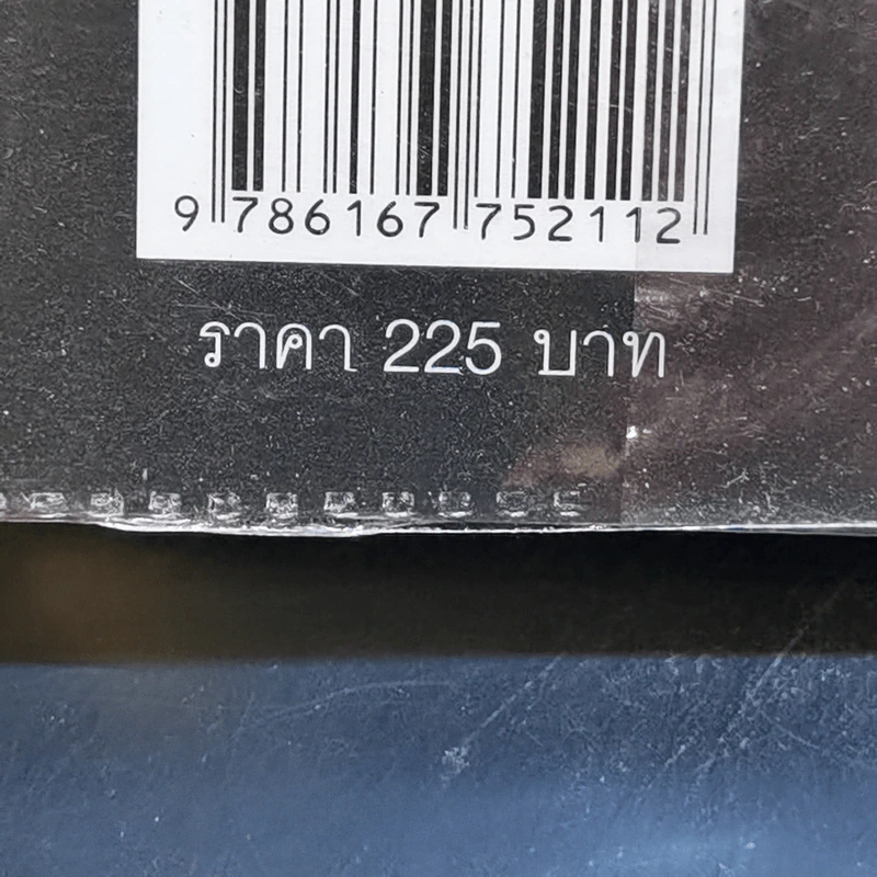 งานไม่ประจำทำเงินกว่า - วิสูตร แวงอรุณเลิศ รูปที่ 14