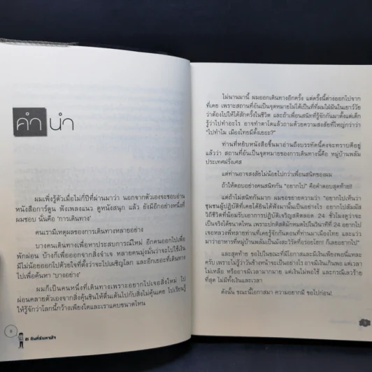 21 คืนที่ฉันหายใจในหมู่บ้านพลัม - สหรัฐ เจตมโนรมย์ รูปที่ 9