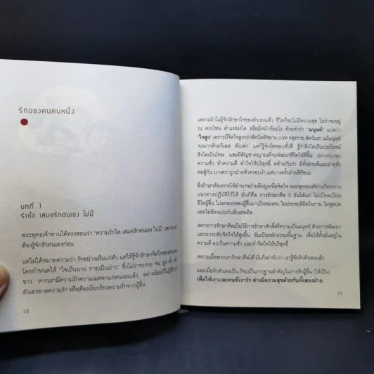 ธรรมะเทอราปี - พระอาจารย์มิตซูโอะ คเวสโก รูปที่ 12