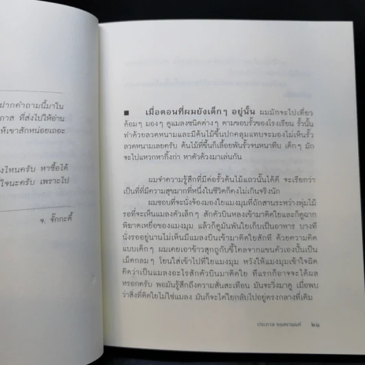 อภินิหารพระดิน - ประภาส ชลศรานนท์ รูปที่ 12