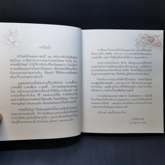 คำขอที่ยิ่งใหญ่ - พระไพศาล วิสาโล รูปที่ 10