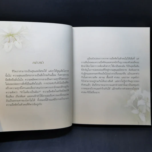 คำขอที่ยิ่งใหญ่ - พระไพศาล วิสาโล รูปที่ 9