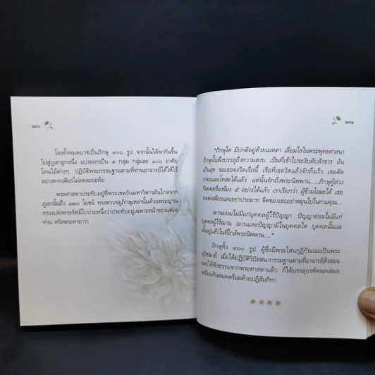 คำขอที่ยิ่งใหญ่ - พระไพศาล วิสาโล รูปที่ 12