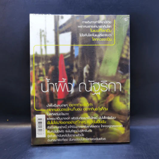การเดินทางของนางเอกนอกคอก - น้ำผึ้ง ณัฐริกา รูปที่ 2