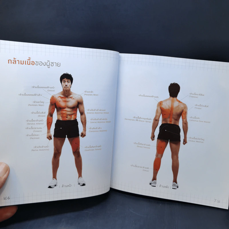 ภารกิจฟิตแอนด์เฟิร์ม เติมหล่อ 3 มิติ - ชเวซองโจ รูปที่ 15