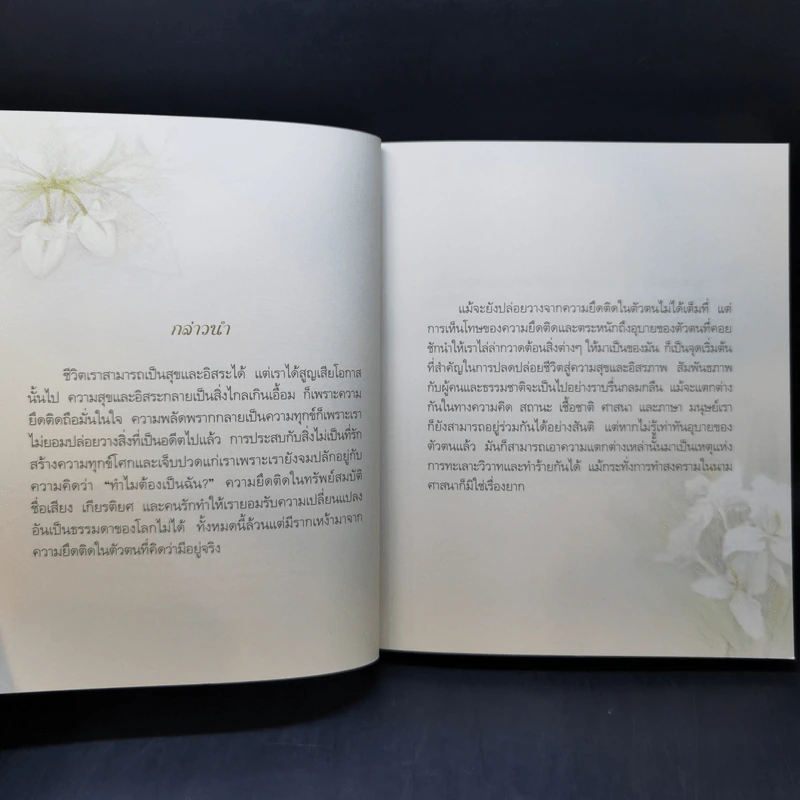 คำขอที่ยิ่งใหญ่ - พระไพศาล วิสาโล รูปที่ 9