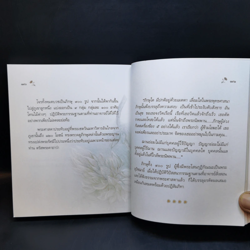 คำขอที่ยิ่งใหญ่ - พระไพศาล วิสาโล รูปที่ 12