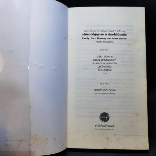 Firefly, Barn Burning and other stories เส้นแสงที่สูญหาย เราร้องไห้เงียบงัน - Haruki Murakami รูปที่ 8
