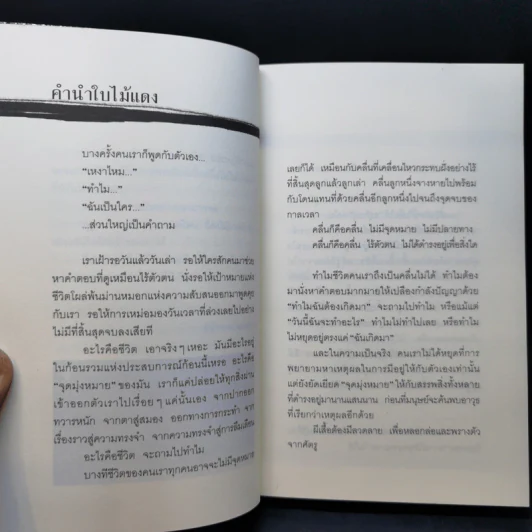 ใบไม้แดง - วรรณสิงห์ ประเสริฐกุล รูปที่ 11