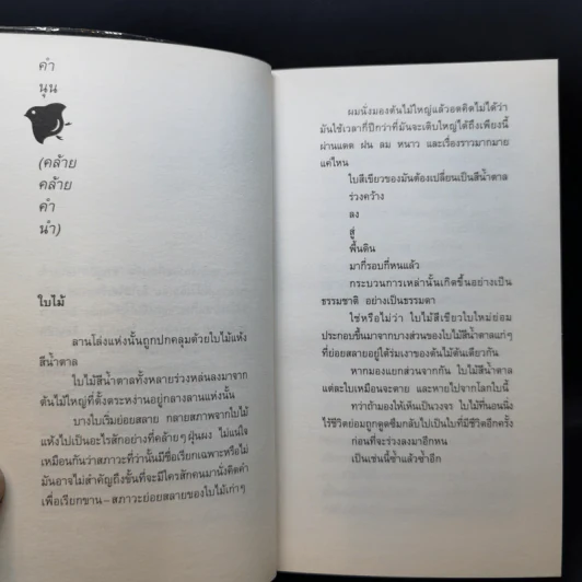 สิ่งที่ค้นพบระหว่างนั่งเฉยเฉย - นิ้วกลม รูปที่ 11