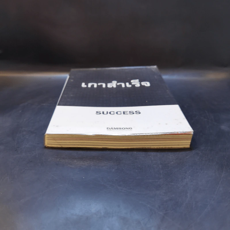 เกาสำเร็จ Success - ดำรงค์ วงษ์โชติปิ่นทอง รูปที่ 4