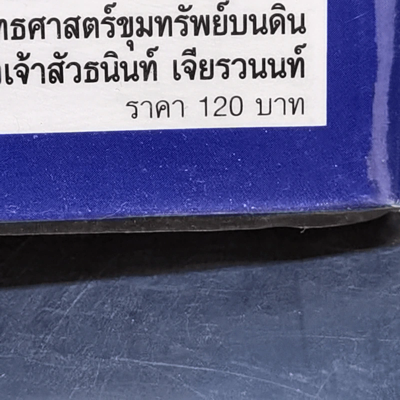 ยุทธศาสตร์ขุมทรัพย์บนดิน - ธนินท์ เจียรวนนท์ รูปที่ 13