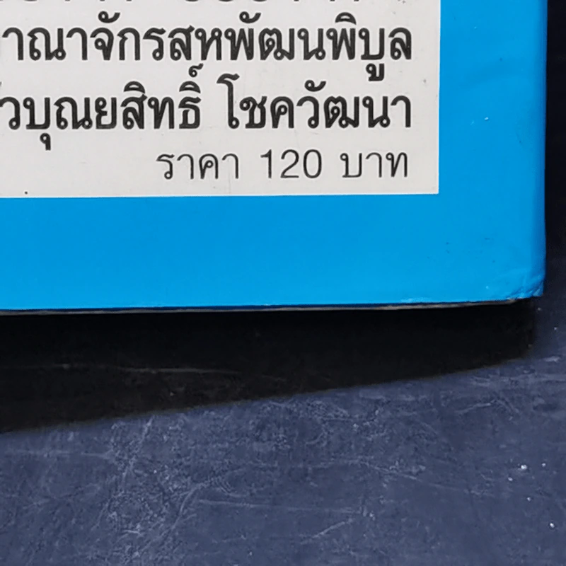 จากร้านชำเล็กๆ ก้าวขึ้นสู่ธุรกิจแสนล้าน อาณาจักรสหพัฒนพิบูล เจ้าสัวบุณยสิทธิ์ โชควัฒนา รูปที่ 13