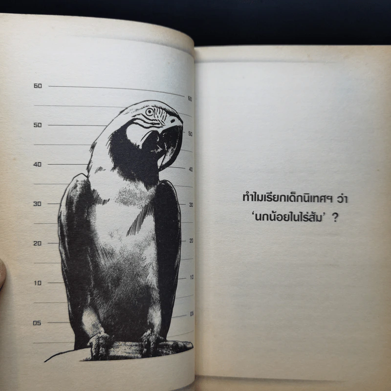 ขอเคลียร์ - วีรวรรณ ตันรัตนพงศ์ รูปที่ 10