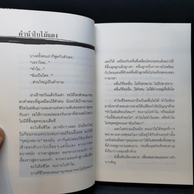 ใบไม้แดง - วรรณสิงห์ ประเสริฐกุล รูปที่ 11