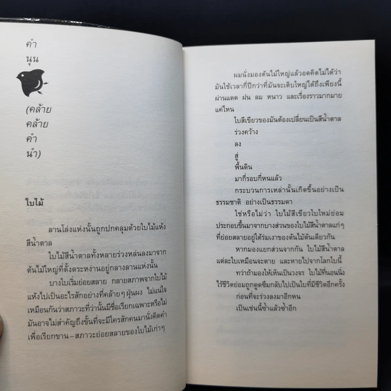 สิ่งที่ค้นพบระหว่างนั่งเฉยเฉย - นิ้วกลม รูปที่ 11