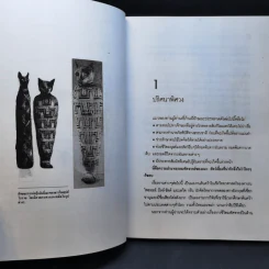 โลกเร้นลับของแมวมหัศจรรย์ - บรรยง บุญฤทธิ์ รูปที่ 10