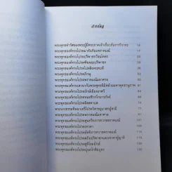 พระพุทธเจ้าโปรดเจ้าลัทธิ รูปที่ 9