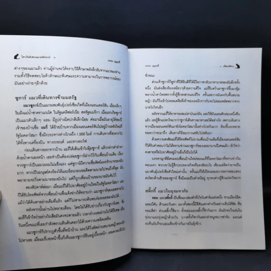 โลกเร้นลับของแมวมหัศจรรย์ - บรรยง บุญฤทธิ์ รูปที่ 11