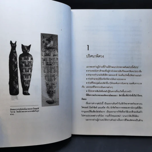 โลกเร้นลับของแมวมหัศจรรย์ - บรรยง บุญฤทธิ์ รูปที่ 10