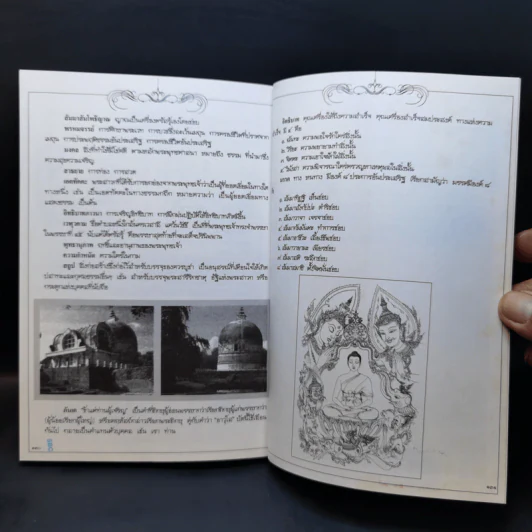 พระอานนท์ ผู้อุทิศทั้งชีวิตเพื่อพระพุทธเจ้า ฉบับการ์ตูน รูปที่ 13