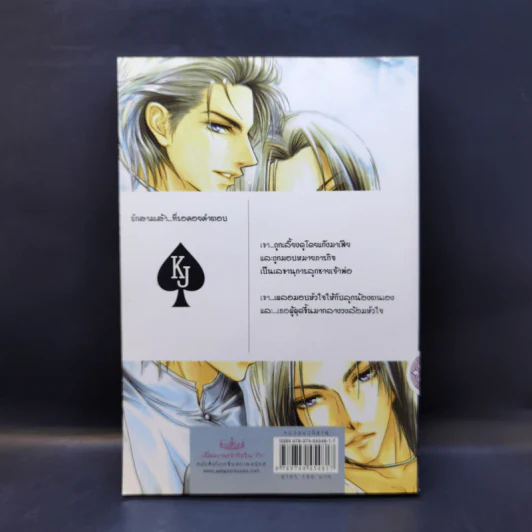 สุดสายที่ปลายรุ้ง - คิงเพนกวิน รูปที่ 2