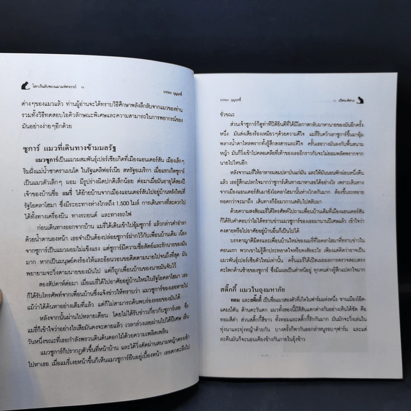 โลกเร้นลับของแมวมหัศจรรย์ - บรรยง บุญฤทธิ์ รูปที่ 11