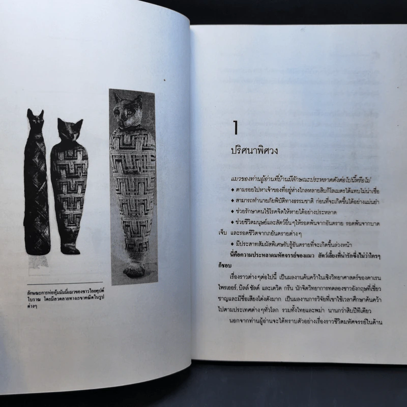 โลกเร้นลับของแมวมหัศจรรย์ - บรรยง บุญฤทธิ์ รูปที่ 10