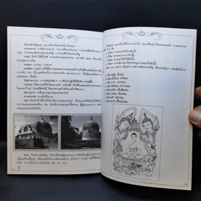 พระอานนท์ ผู้อุทิศทั้งชีวิตเพื่อพระพุทธเจ้า ฉบับการ์ตูน รูปที่ 13