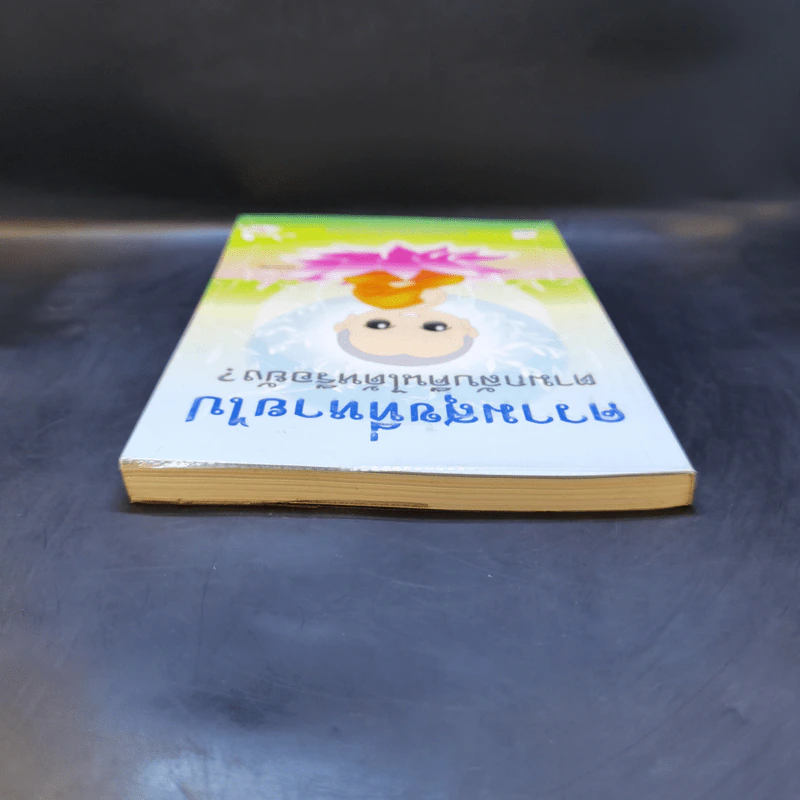 ความสุขที่หายไปตามกลับคืนได้หรือยัง? - ชุติปัญโญ รูปที่ 6