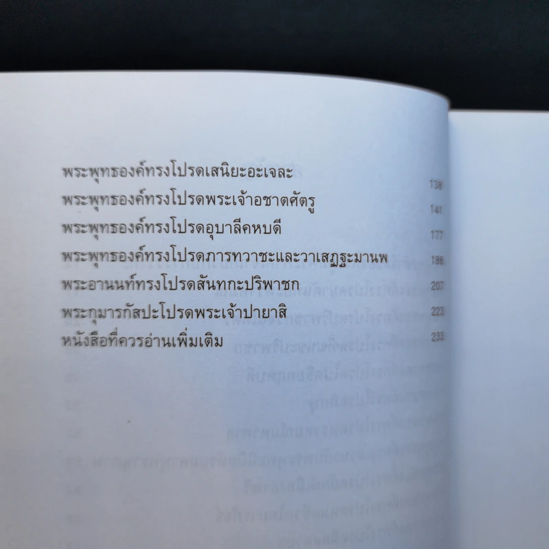 พระพุทธเจ้าโปรดเจ้าลัทธิ รูปที่ 10